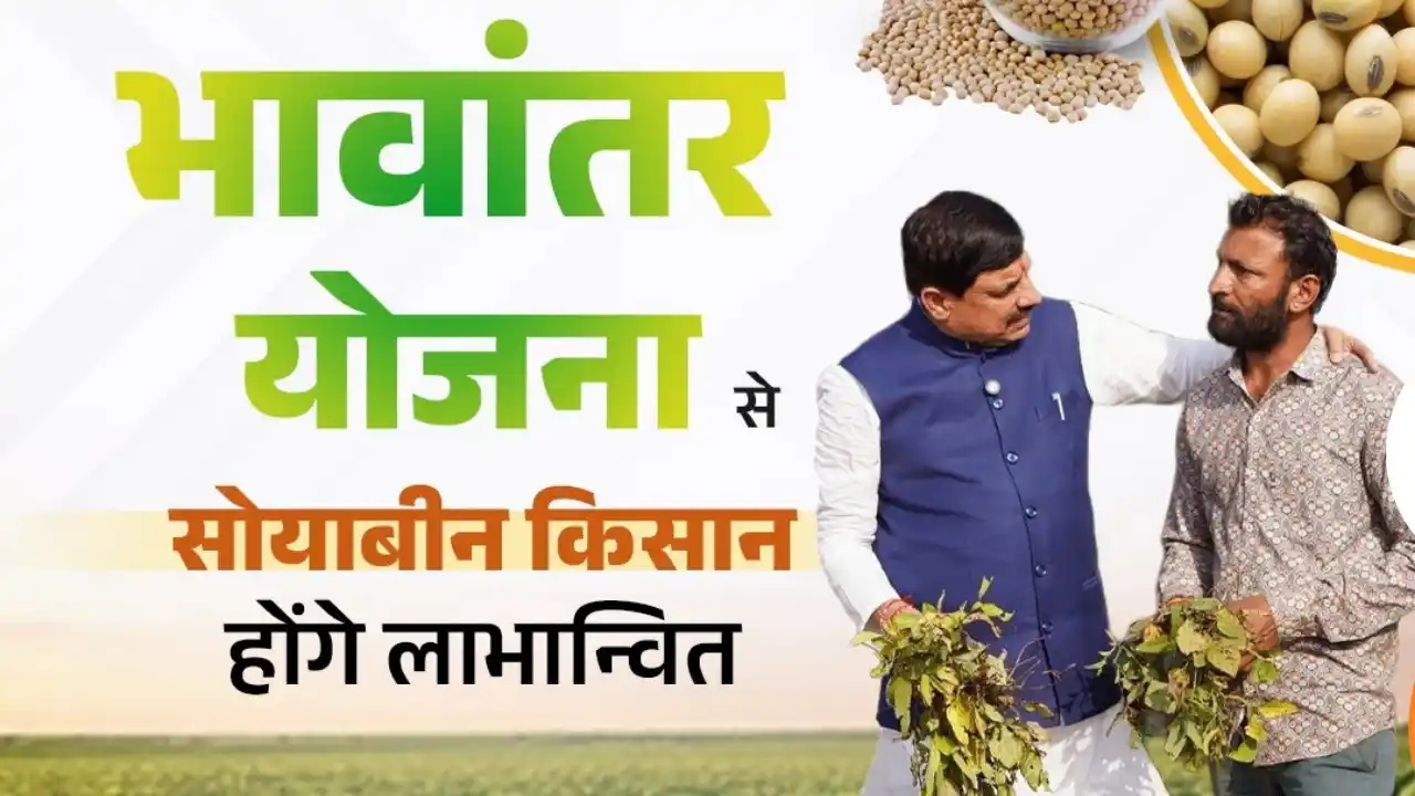 MP NEWS